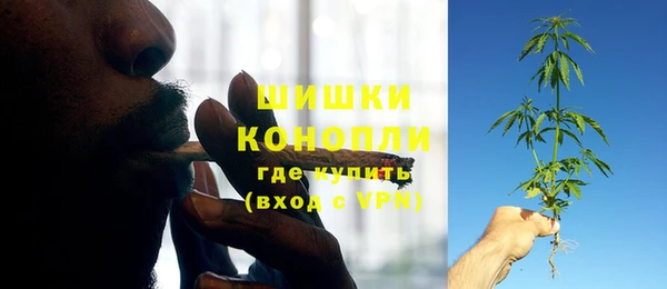 гидропоника Алзамай