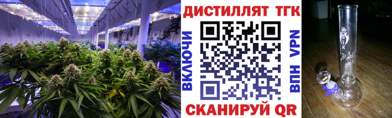 Дистиллят ТГК гашишное масло  Полярные Зори 