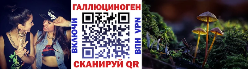 Псилоцибиновые грибы прущие грибы Полярные Зори