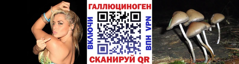 где найти   darknet состав  Галлюциногенные грибы прущие грибы  Полярные Зори 